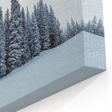 Vail Nature Photography - Snow-Covered Pine Trees in Winter Wonderland