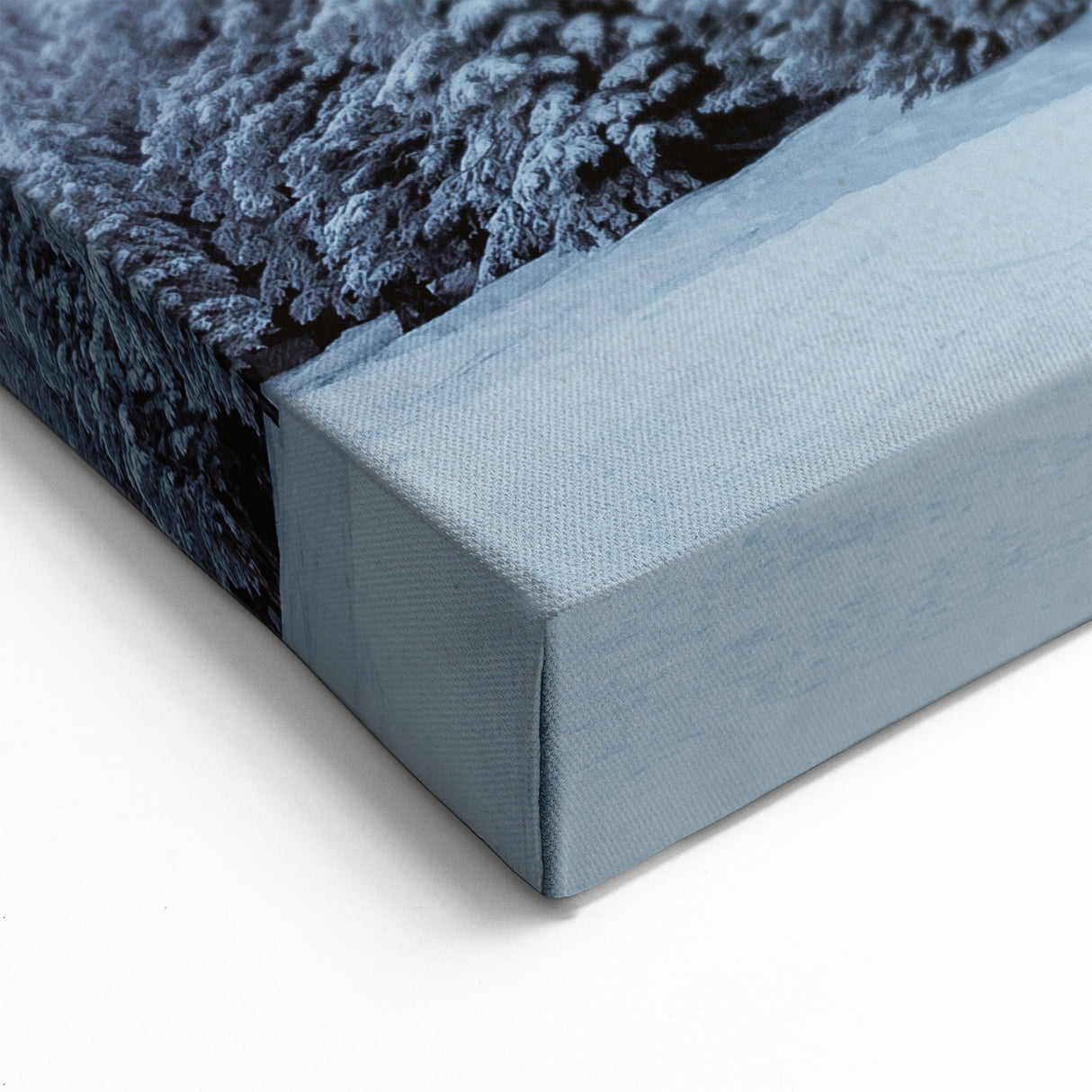 Vail Nature Photography - Snow-Covered Pine Trees in Winter Wonderland