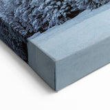 Vail Nature Photography - Snow-Covered Pine Trees in Winter Wonderland