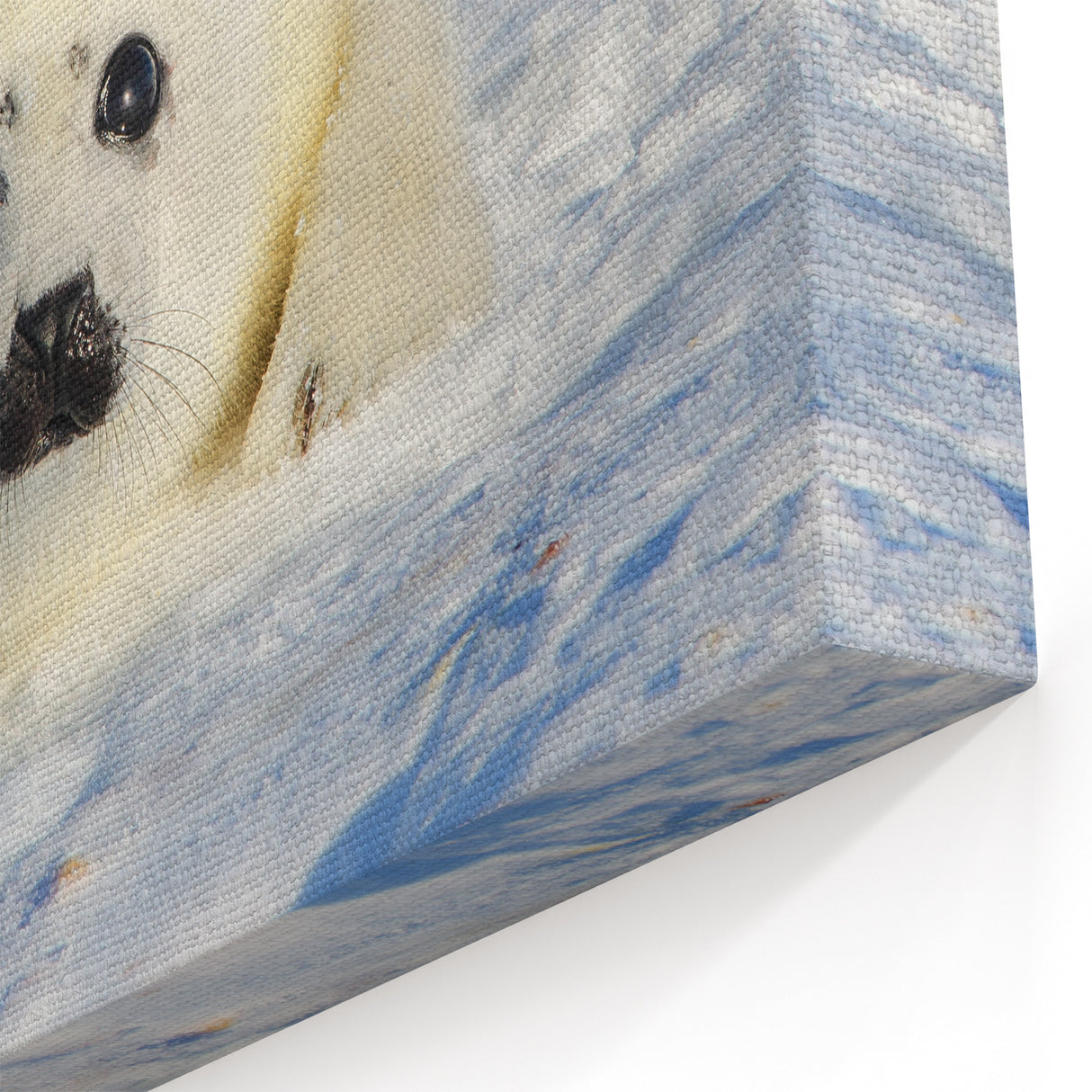 Polar Region Wall Art - Adorable Baby Seal on Arctic Ice Canvas Decor