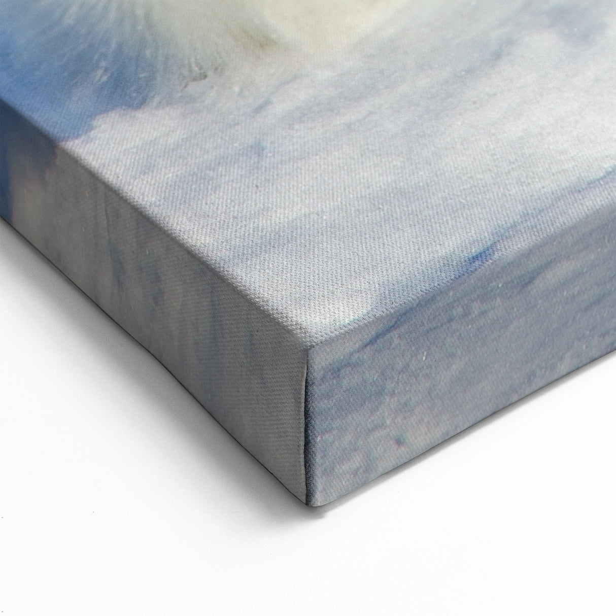 Polar Region Wall Art - Adorable Baby Seal on Arctic Ice Canvas Decor