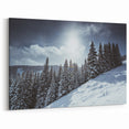 Vail Colorado Wall Art - Snowy Pine Trees on a Winter Morning Landscape