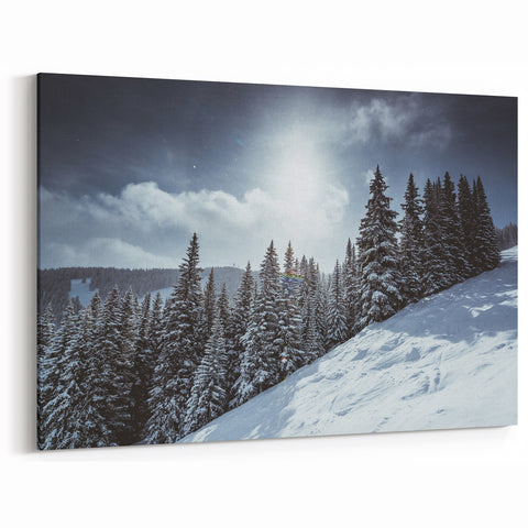 Vail Colorado Wall Art - Snowy Pine Trees on a Winter Morning Landscape