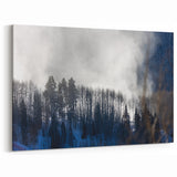 Vail Mountain Art - Misty Winter Forest with Snow-Covered Trees