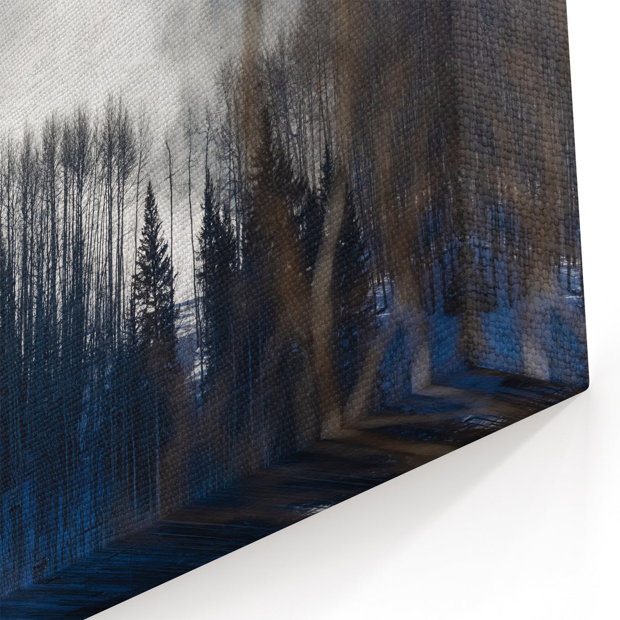 Vail Mountain Art - Misty Winter Forest with Snow-Covered Trees