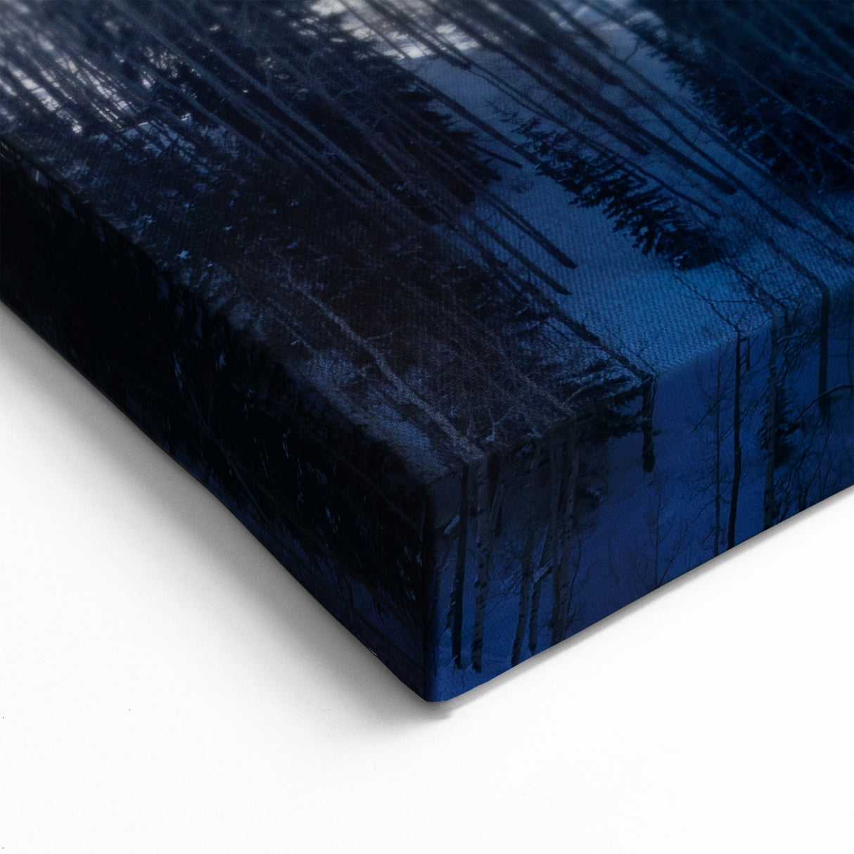 Vail Mountain Art - Misty Winter Forest with Snow-Covered Trees