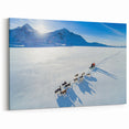 Polar Region Wall Art - Dog Sledding Adventure in Greenland Canvas Decor