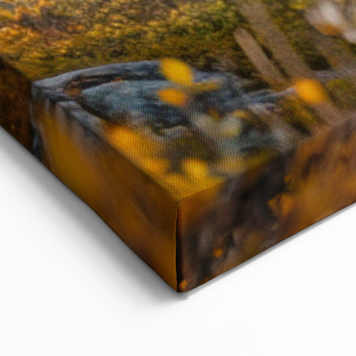 Greenland Nature Canvas - Majestic Reindeer in Autumn Wilderness Wall Art