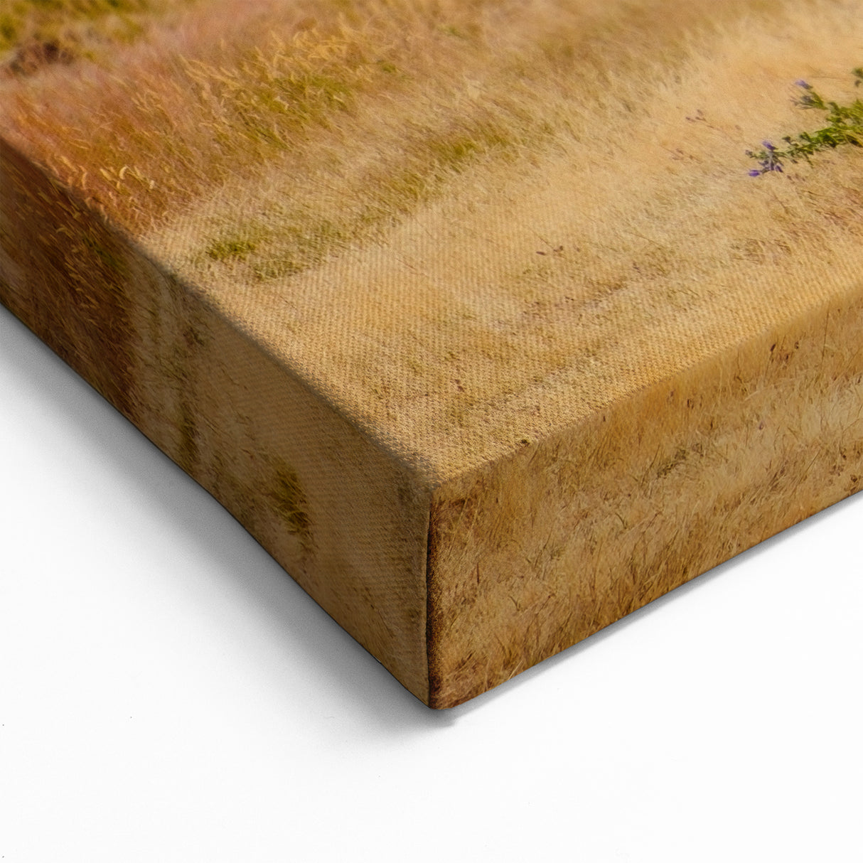 Otago Wall Art – Central Otago Landscape with Rustic Cart  New Zealand Scenery