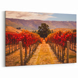 Otago Wall Art - Central Otago Landscape Canvas, New Zealand Scenery