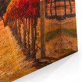 Otago Wall Art - Central Otago Landscape Canvas, New Zealand Scenery