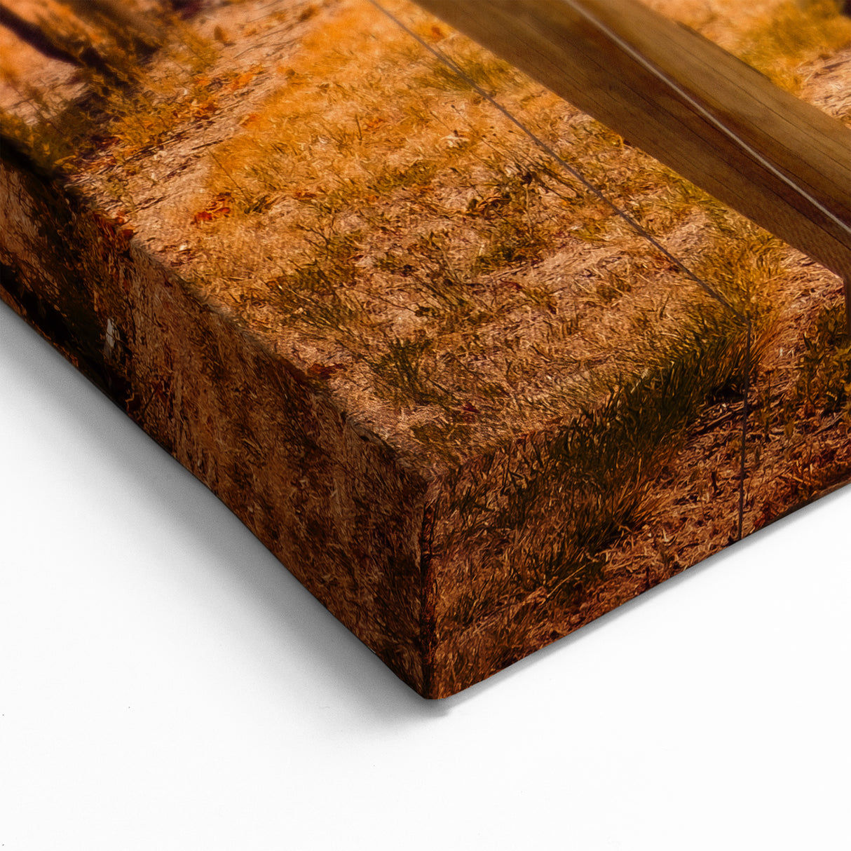 Otago Wall Art - Central Otago Landscape Canvas, New Zealand Scenery