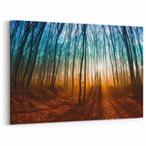 Hungary Wall Art - Hungary Scenic Prints of Enchanted Forest Landscape