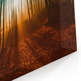 Hungary Wall Art - Hungary Scenic Prints of Enchanted Forest Landscape