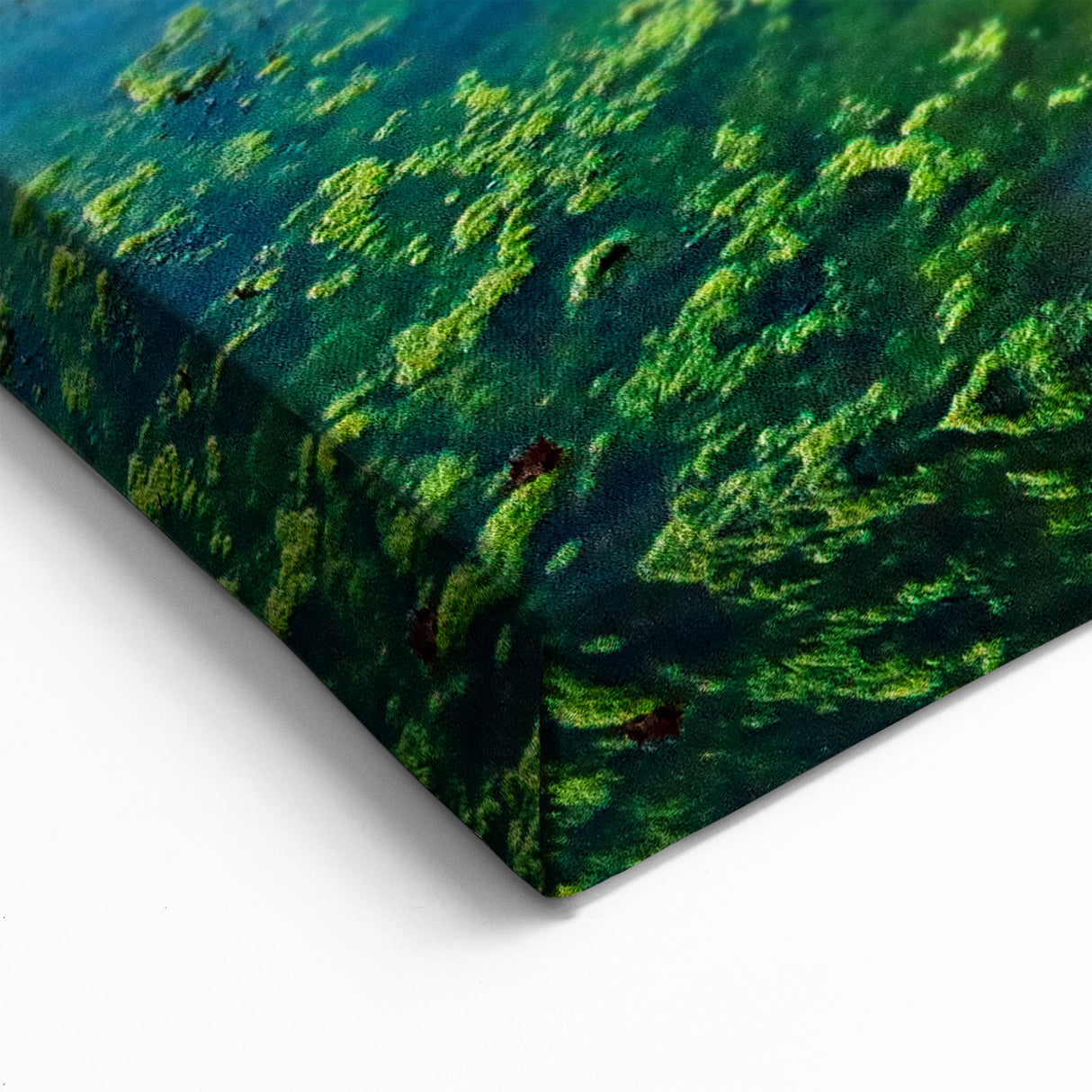 Budapest Canvas Prints - Hungary Scenic Prints of Lakeside Sunset