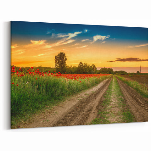 Hungarian Landscape Art - Hungary Travel Posters of Poppy Field Sunset