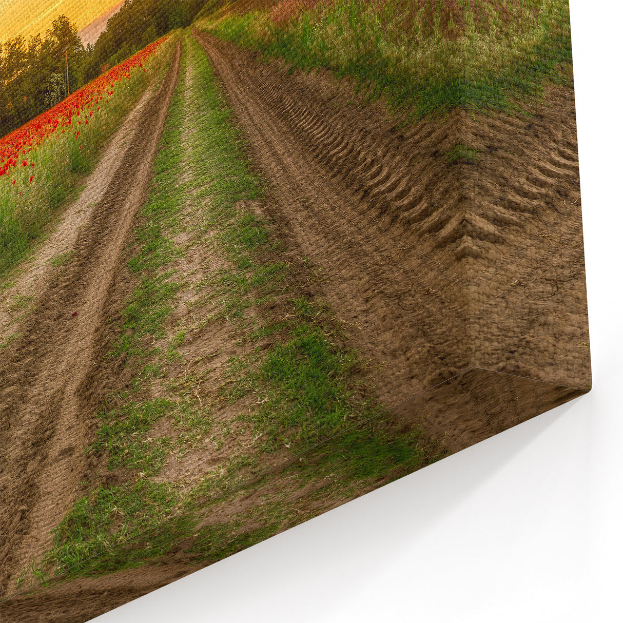 Hungarian Landscape Art - Hungary Travel Posters of Poppy Field Sunset