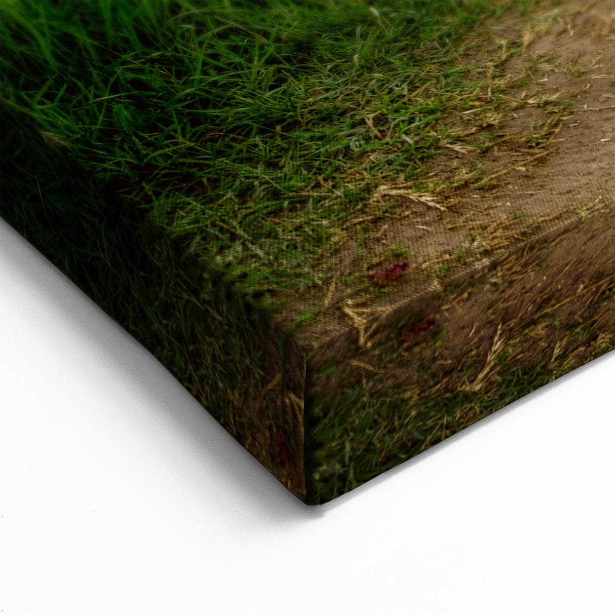 Hungarian Landscape Art - Hungary Travel Posters of Poppy Field Sunset