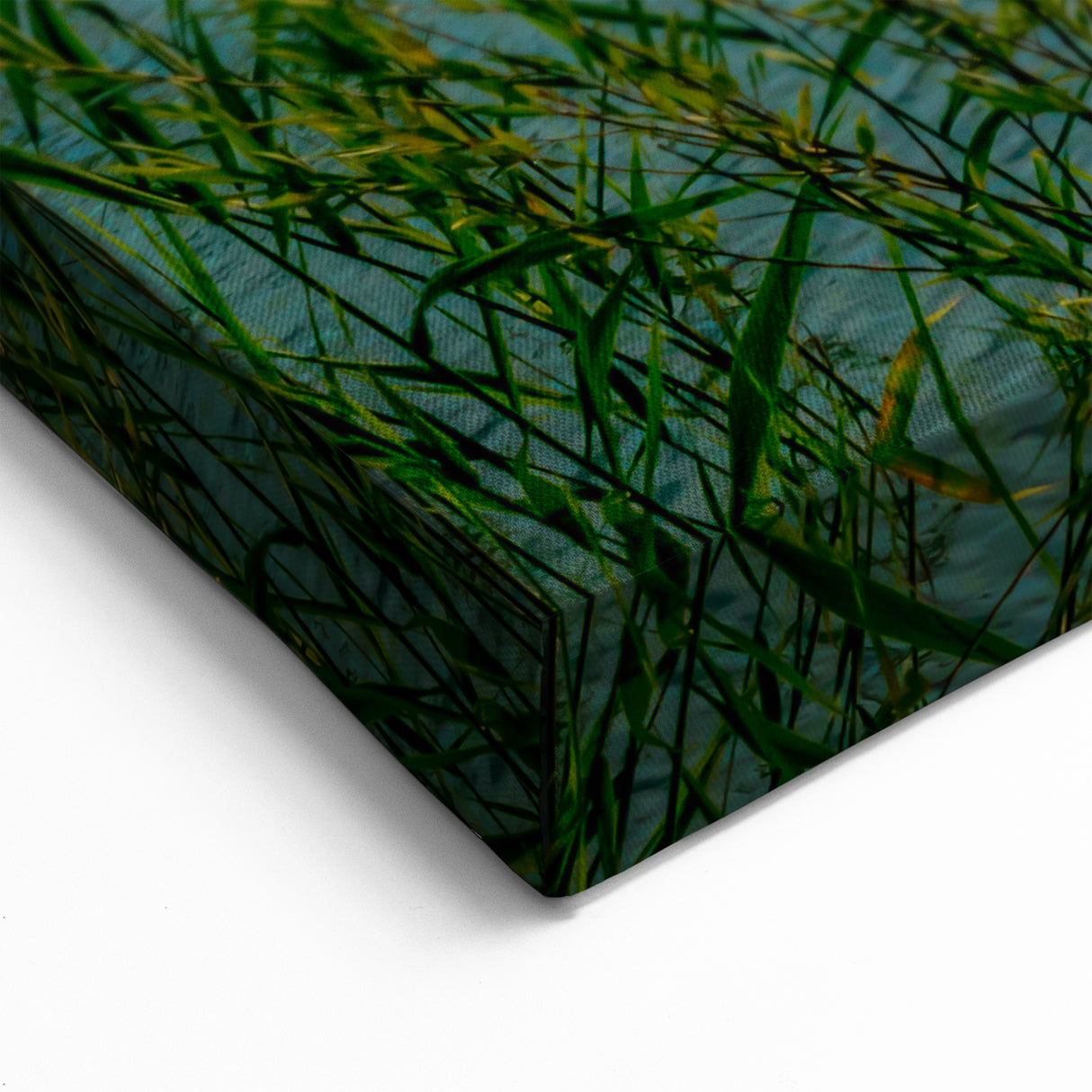 Hungarian Landscape Art - Hungary Scenic Prints of Lakeside Sunrise