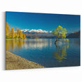 Otago Wall Art - Wanaka Lake Tree Prints of New Zealand Scenery