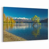 Otago Wall Art - Wanaka Lake Tree Prints of New Zealand Scenery