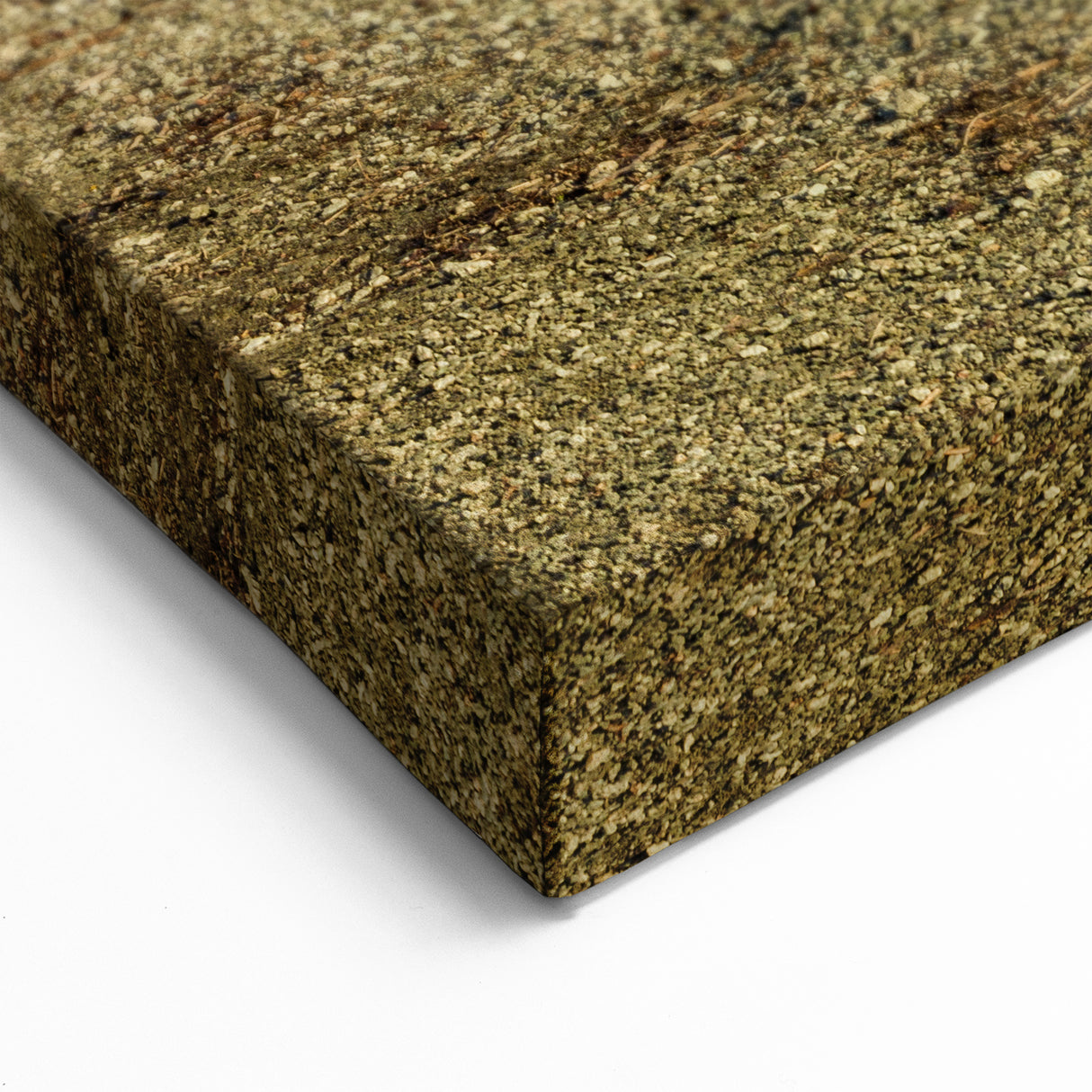 Otago Wall Art - Wanaka Lake Tree Prints of New Zealand Scenery