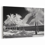 Black and White Florida Keys Palm Tree Wall Art – Coastal Beach Decor