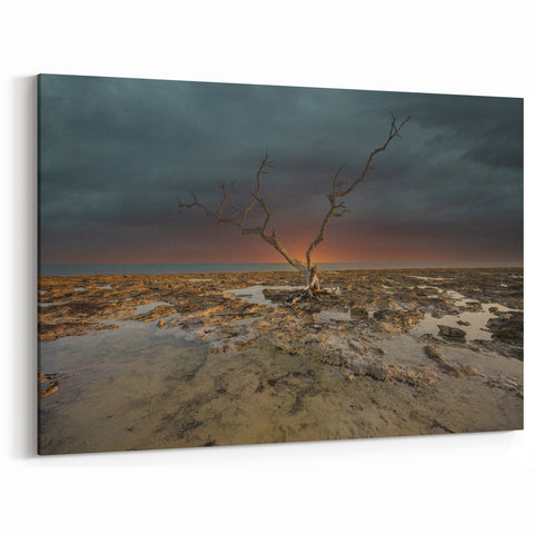 Florida Keys Minimalist Tree Art – Coastal Sunset with Dramatic Landscape
