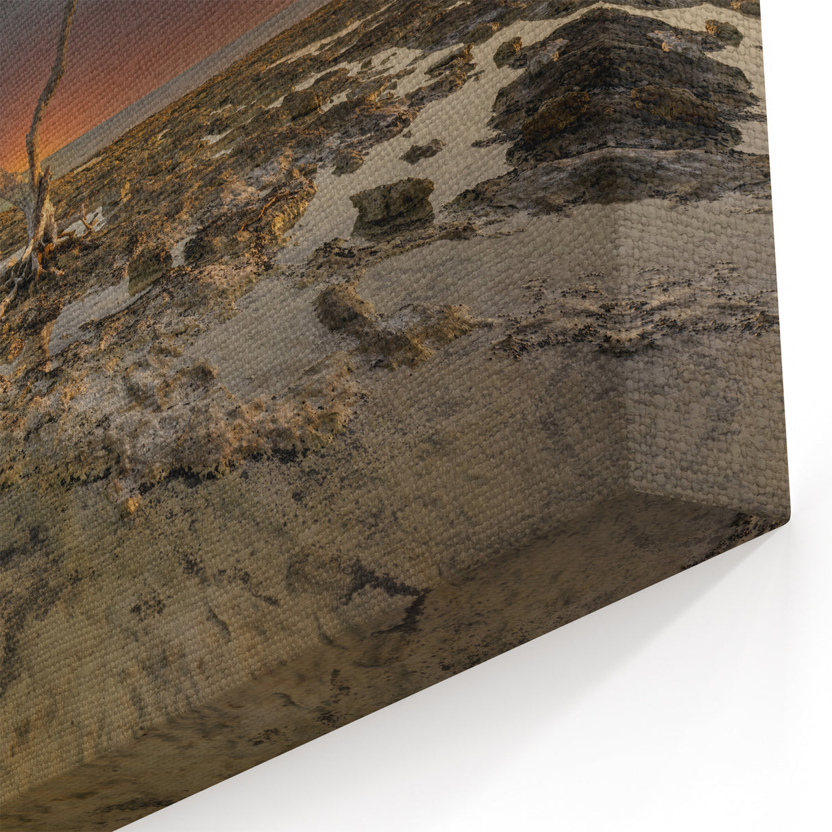 Florida Keys Minimalist Tree Art – Coastal Sunset with Dramatic Landscape