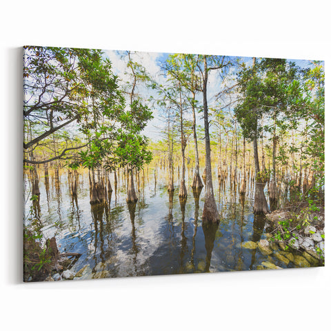 Beautiful Everglades Wall Art - Scenic Florida Wetlands Nature Photography