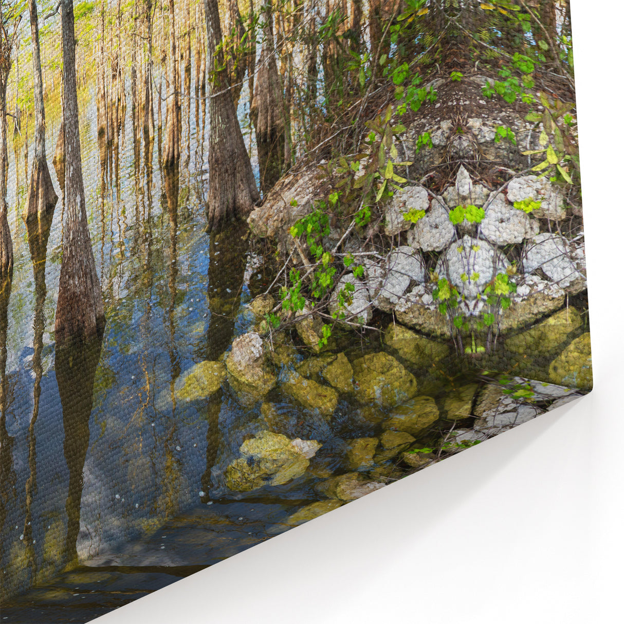 Beautiful Everglades Wall Art - Scenic Florida Wetlands Nature Photography