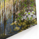 Beautiful Everglades Wall Art - Scenic Florida Wetlands Nature Photography