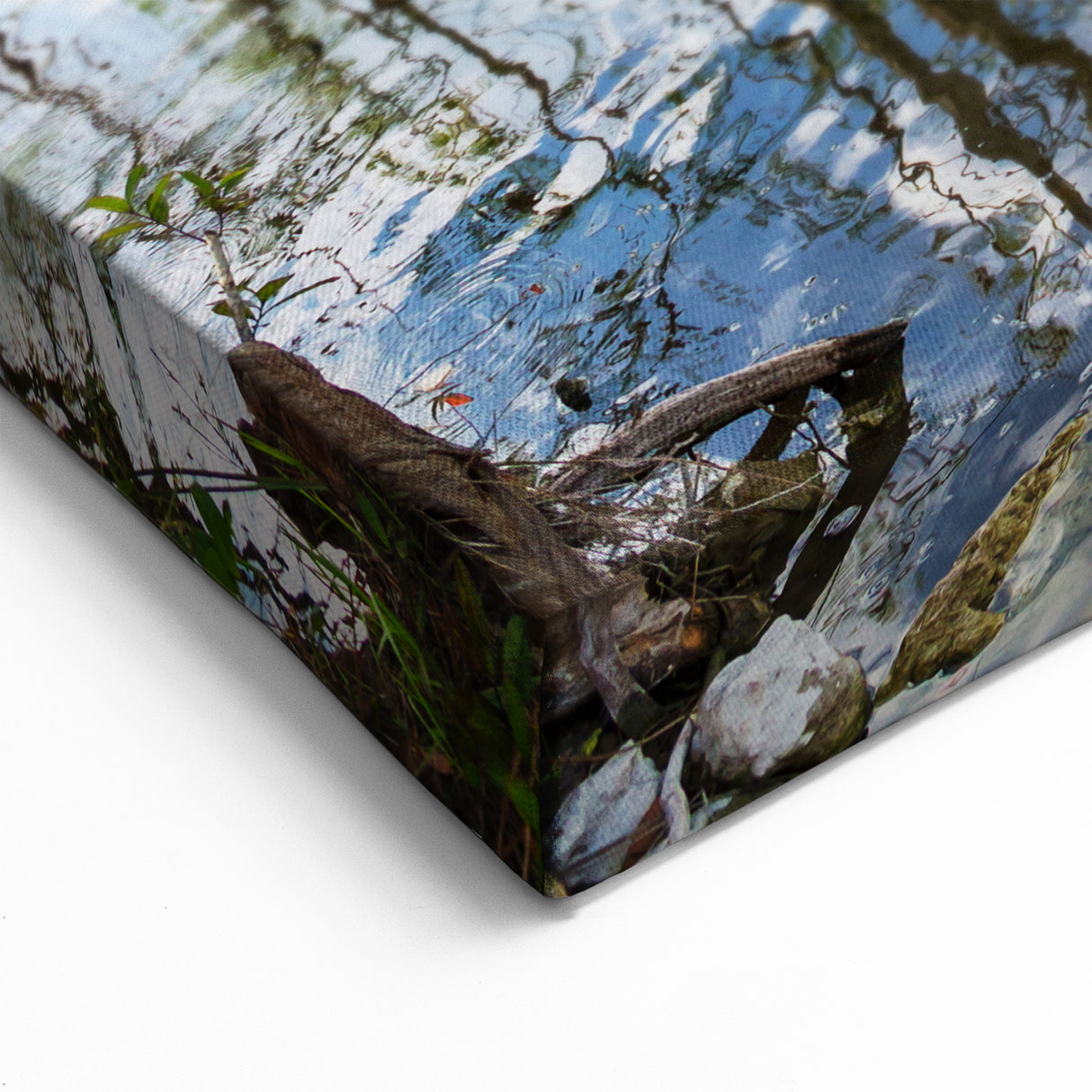 Beautiful Everglades Wall Art - Scenic Florida Wetlands Nature Photography