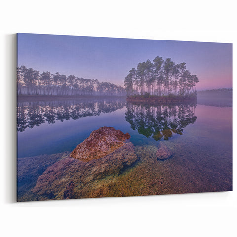 Tranquil Everglades Wall Art - Serene Florida Wetlands Nature Photography