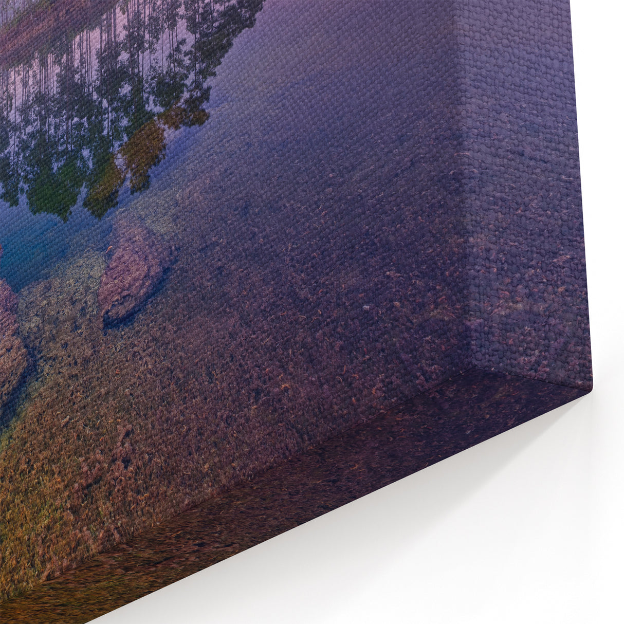 Tranquil Everglades Wall Art - Serene Florida Wetlands Nature Photography