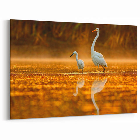 Elegant Everglades Wildlife Wall Art - Majestic Florida Bird Photography