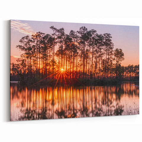 Golden Everglades Sunset Wall Art - Scenic Florida Nature Photography