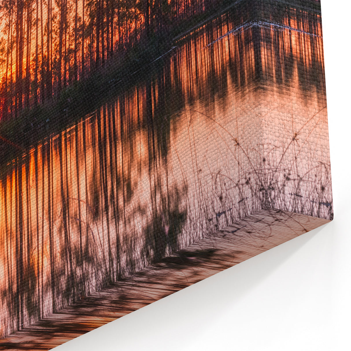 Golden Everglades Sunset Wall Art - Scenic Florida Nature Photography