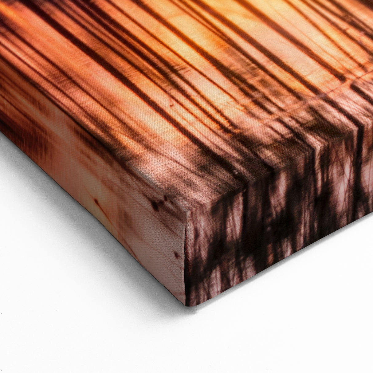 Golden Everglades Sunset Wall Art - Scenic Florida Nature Photography