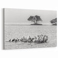 Black and White Everglades Wildlife Art - Elegant Florida Bird Photography