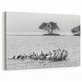 Black and White Everglades Wildlife Art - Elegant Florida Bird Photography