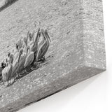 Black and White Everglades Wildlife Art - Elegant Florida Bird Photography