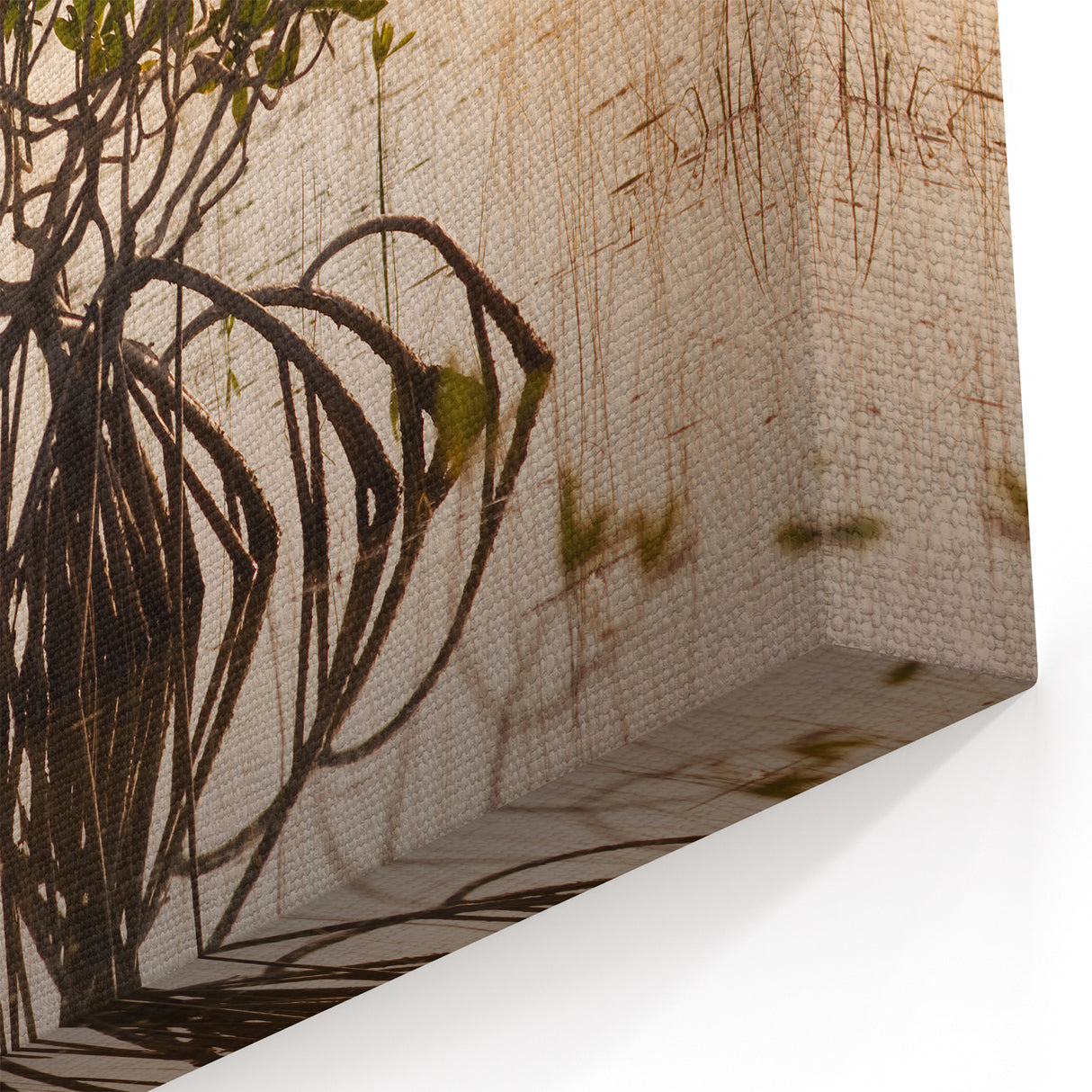 Serene Everglades Mangrove Wall Art - Stunning Florida Nature Photography