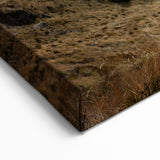 Otago Landscape Art - New Zealand Scenery  Majestic Mountain Canvas