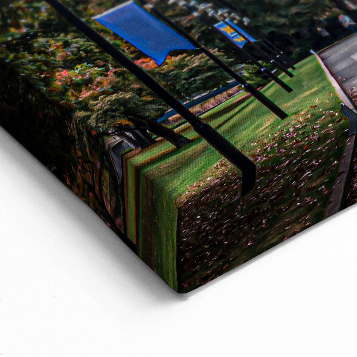 Otago Peninsula Prints - Historic Architecture  Central Otago Canvas