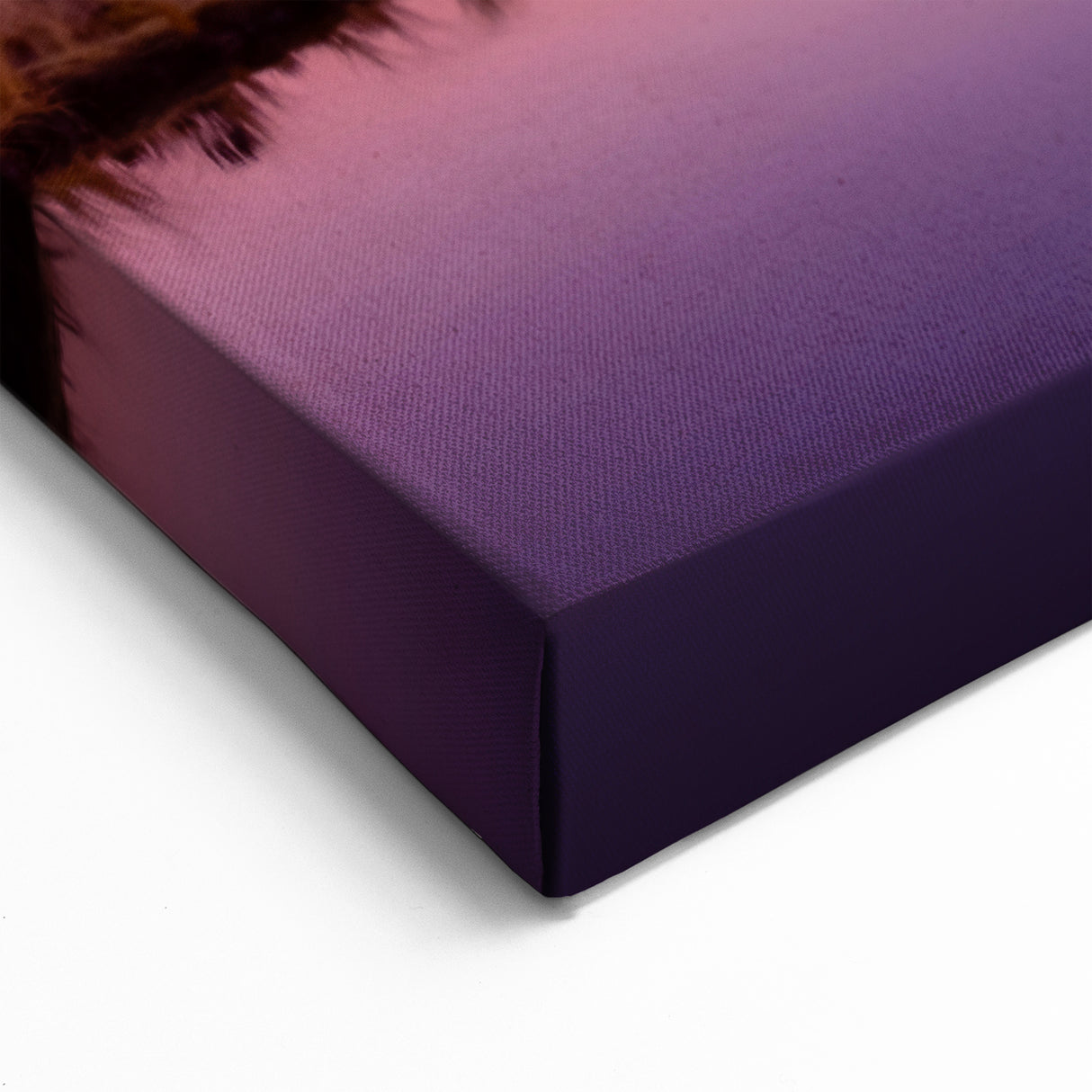 Taranaki Mountain Canvas – New Zealand Coastal Art with Sunset Reflection