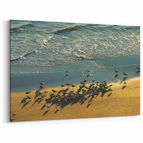 Daytona Wall Art - Coastal Florida Beach Scene with Birds and Waves