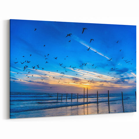 Daytona Wall Art - Sunrise Over the Ocean with Birds in Flight