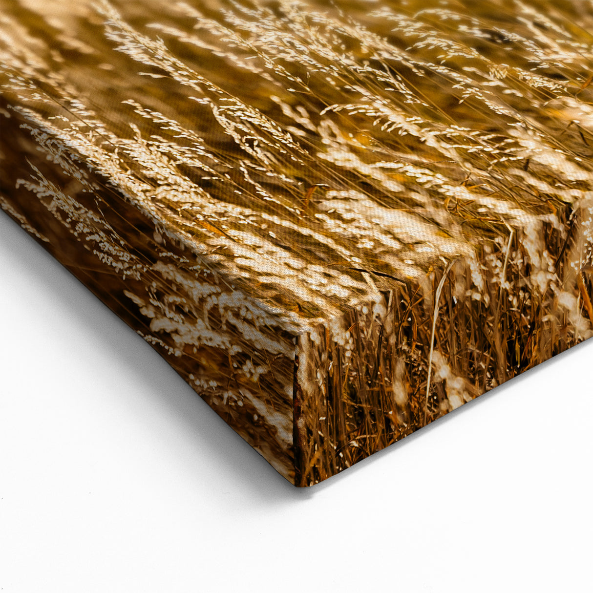 Colorado Wheat Field Landscape Photography - Pikes Peak Wall Art