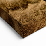 Iceland Photography – Icelandic Sheep in Natural Landscape Canvas